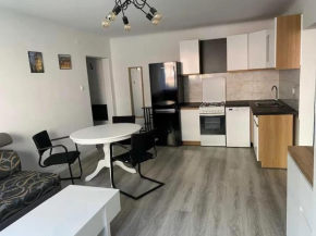 Apartament Centrum
